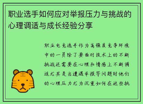 职业选手如何应对举报压力与挑战的心理调适与成长经验分享
